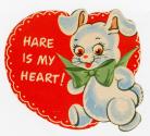 "Hare is my heart!" - Image of a toy bunny. 