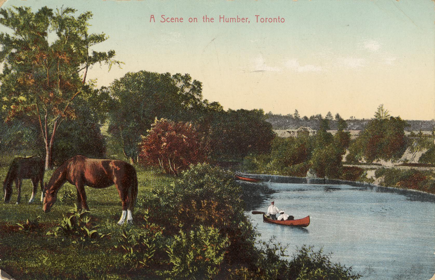 Colorized photograph of a man paddling a canoe on a narrow river. Two horses graze on the river ...