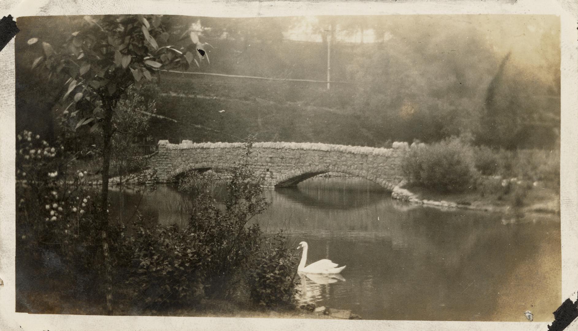 A photograph of stone bridge over a small pond. There is a swan swimming in the pond in the mid ...