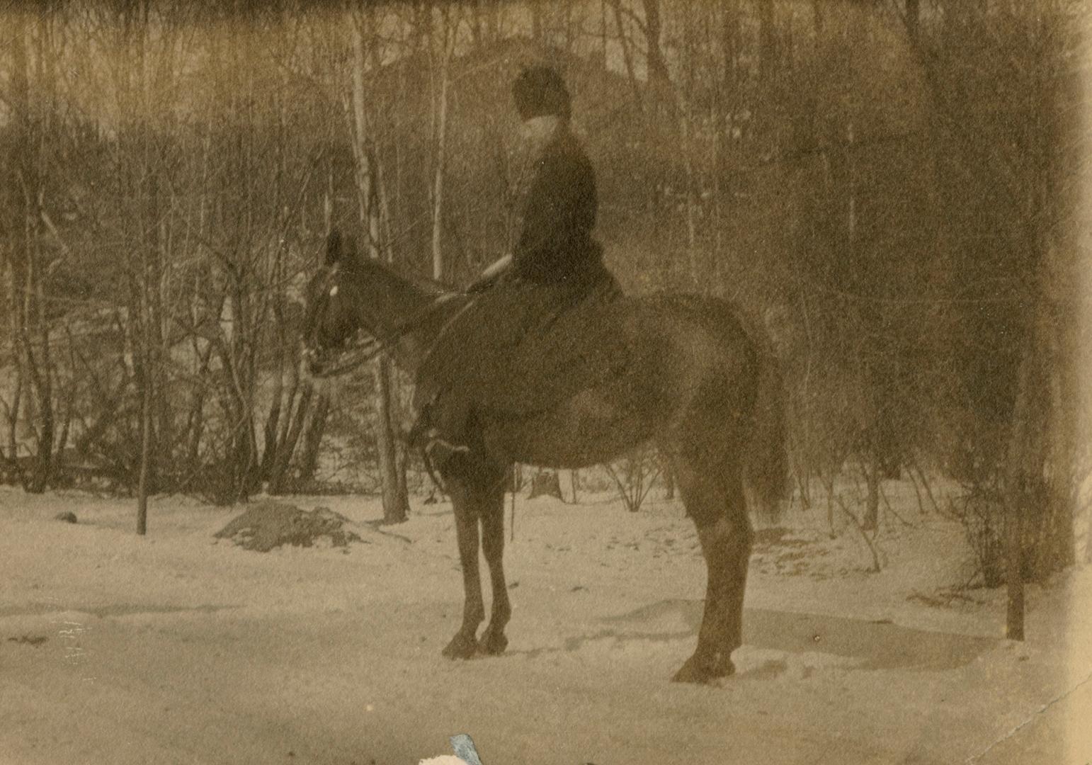 A photograph of a person sitting on a stationary horse, which is standing in the middle of a sn ...