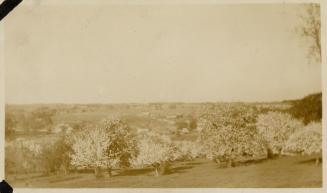 A photograph of a gently rolling field with trees, grassy areas and houses visible in the dista ...