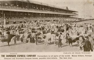 Black and white photograph of a crowd of cattle and men on a racetrack while spectators look on ...