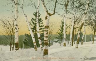 Colorized photograph of a snowy wooded area.