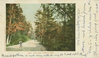 Colorized photograph with a white border of people walking on a path in a wooded area.
