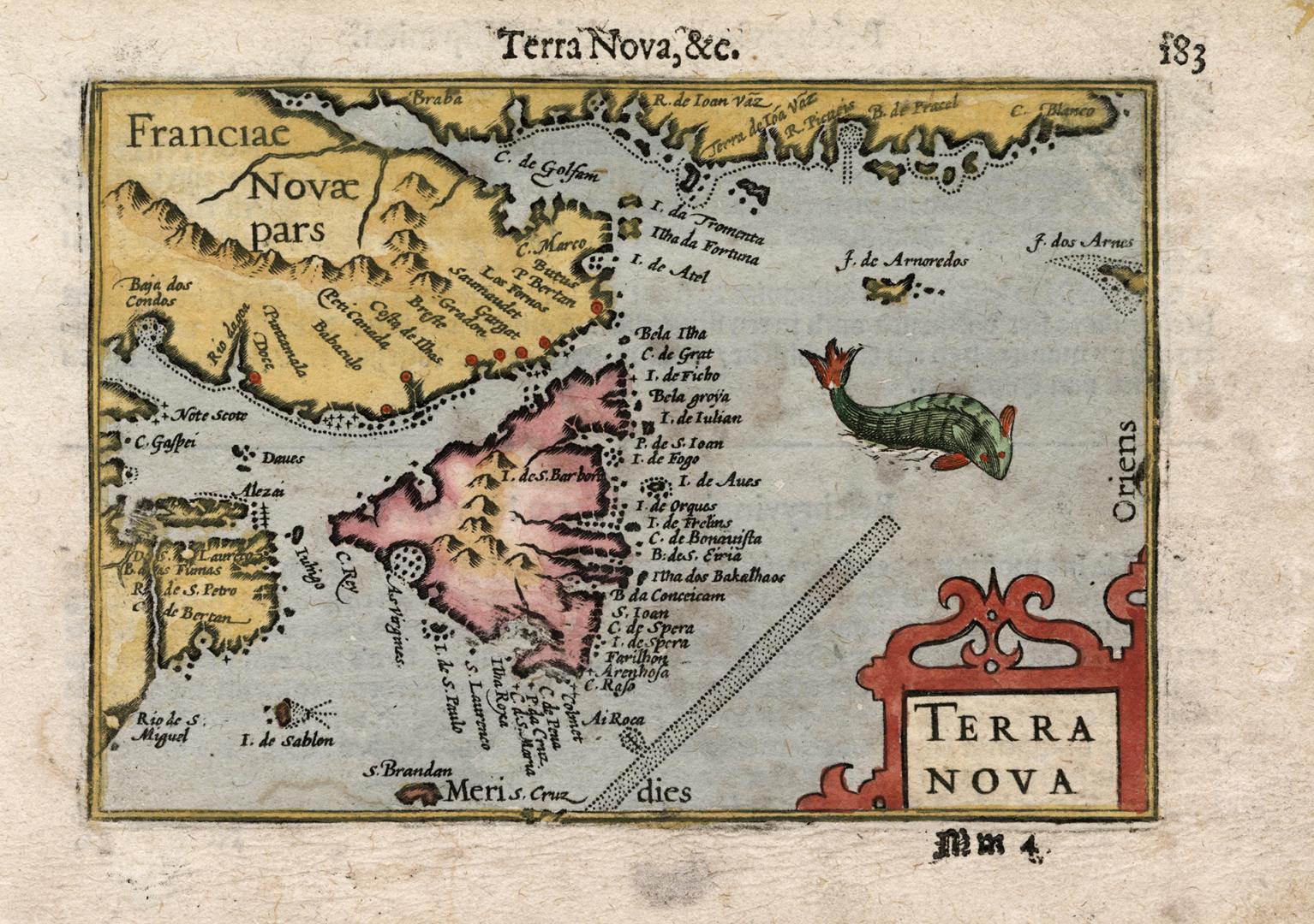 Terra Nova