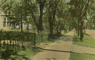 Colorized photograph of annex style buildings on a tree lined city street.