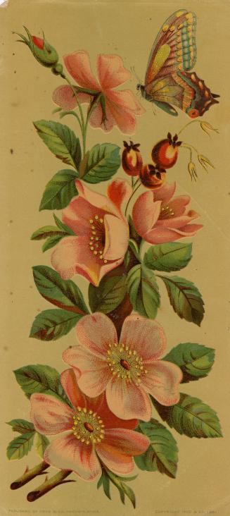 Several pink flowers reach up across the card. A butterfly sits on the top one. No verse. 