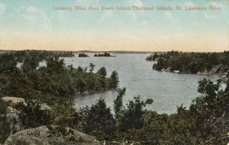 Colorized photograph of trees in covering islands in the middle of a waterway.