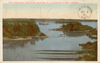  Colorized photograph of trees covering islands in the middle of a waterway. 