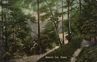 Colorized photograph of a wooded area with a path running through it. Steps going up are visibl ...