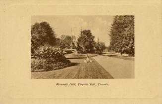 Black and white photograph of a wooded area gardens and a wide path running through it.