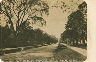 Black and white photograph of a wide, city street with trees on either side and down the median ...