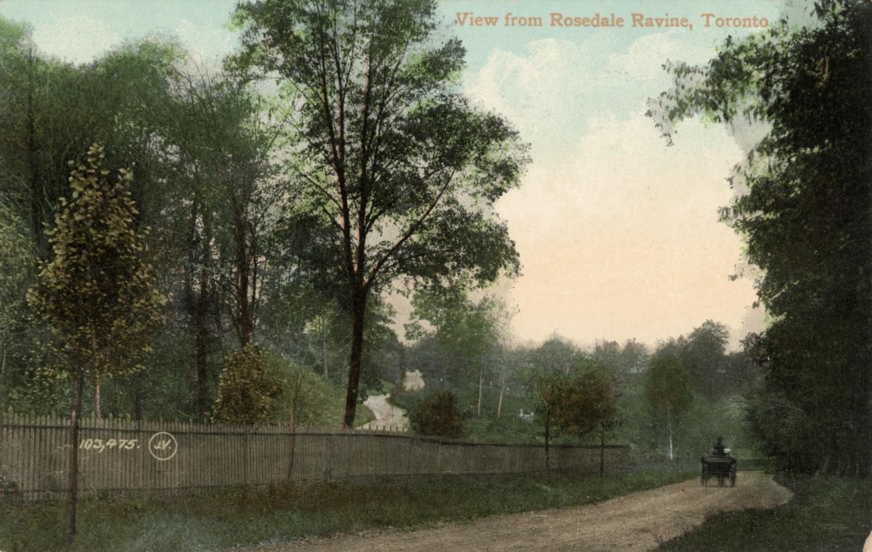 Colorized photograph of a horse and buggy on a path in a wooded area.