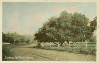 Colorized photograph of a valley surrounded by trees with a road running through it.