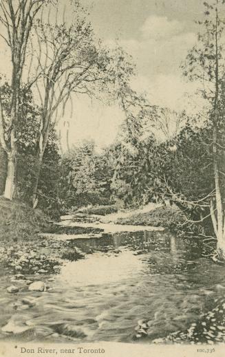 Black and white photograph of a river running through a wooded area.