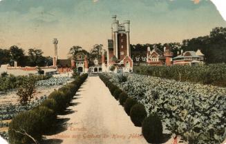 coloured photograph of brick and stone buildings in the background with rows of plants in the f ...