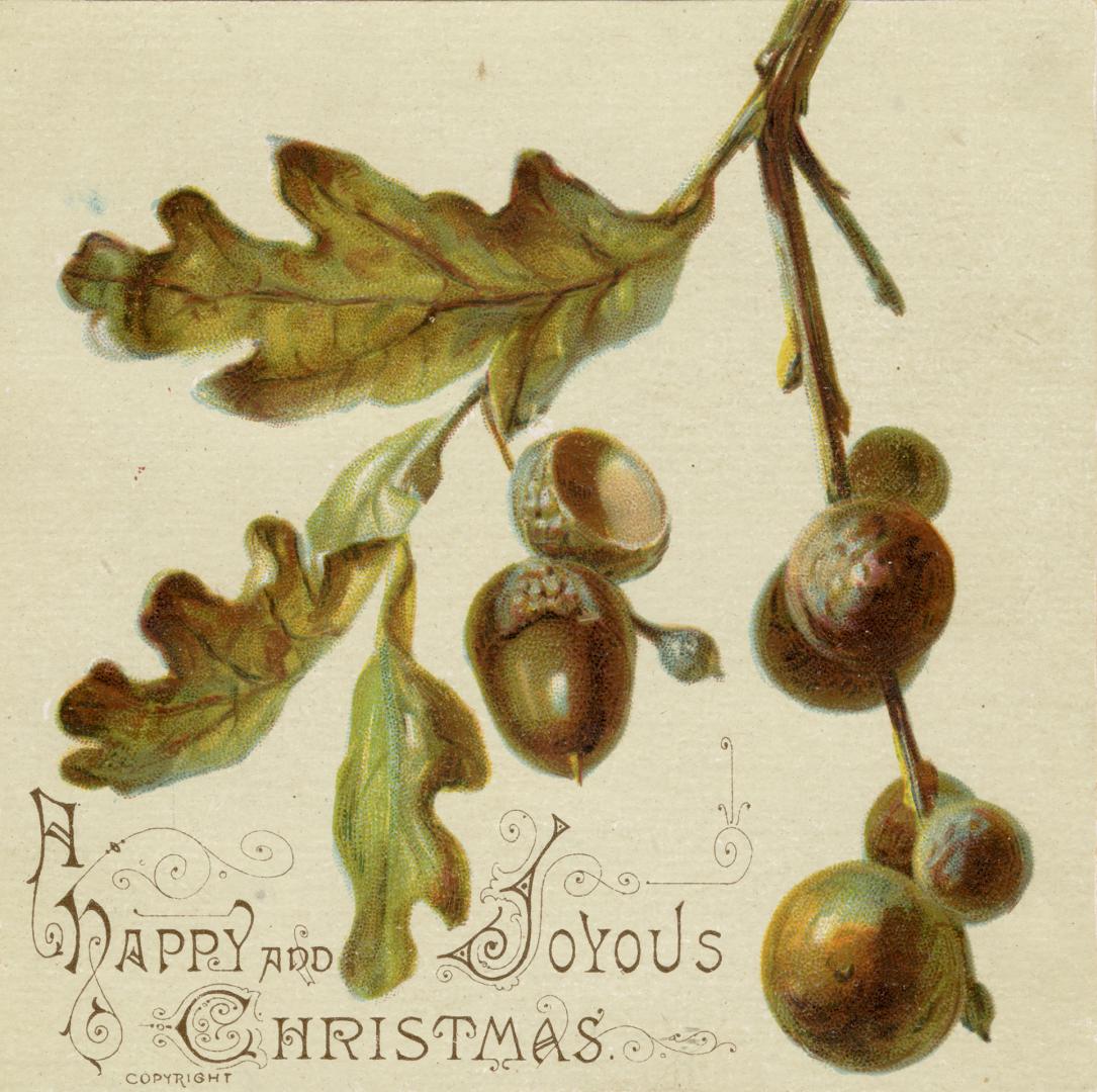 This card pictures oak leaves and acorns against a cream coloured background.