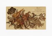 The front of the card pictures a tree branch, foliage, and berries rendered in shades of brown, ...