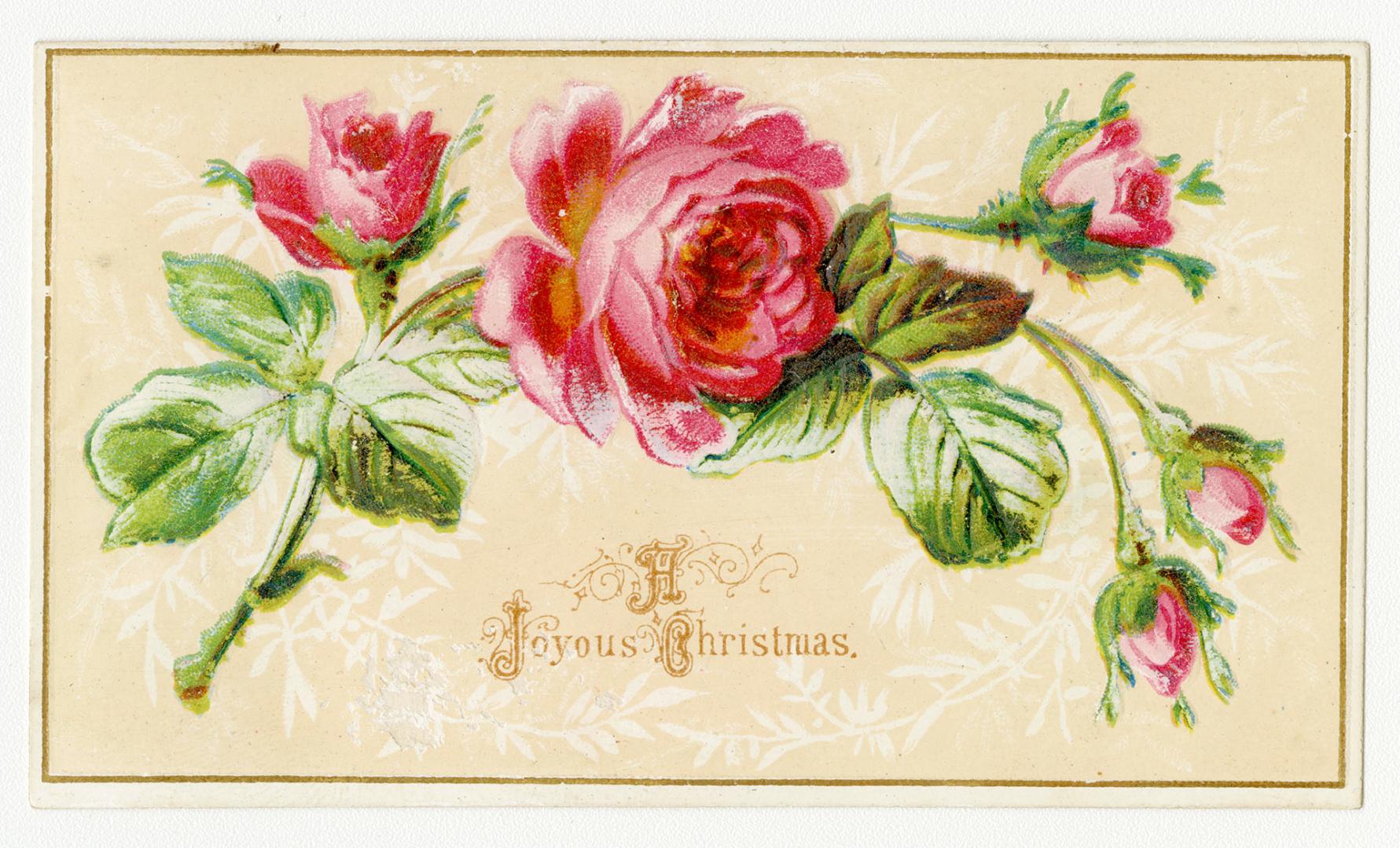 The card pictures pink roses and green leaves. They are set against a peach background that is  ...