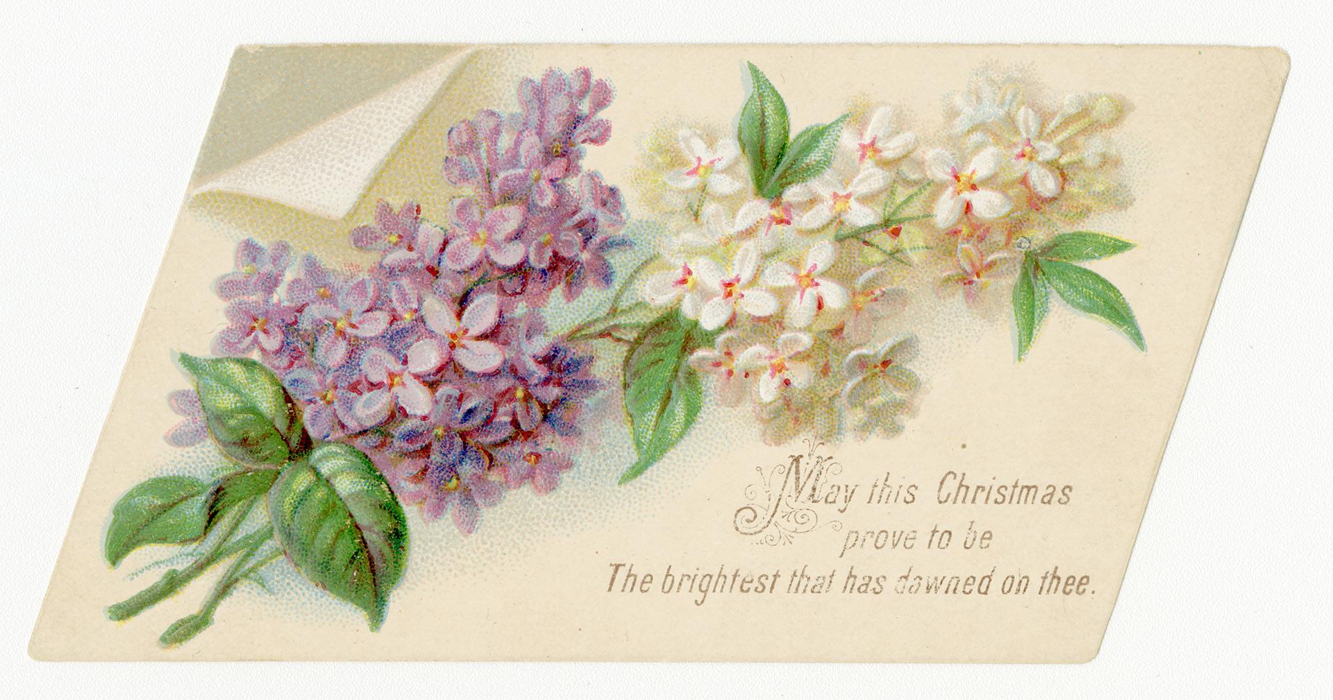 The card pictures clusters of purple and white flowers. The background is light peach-beige.