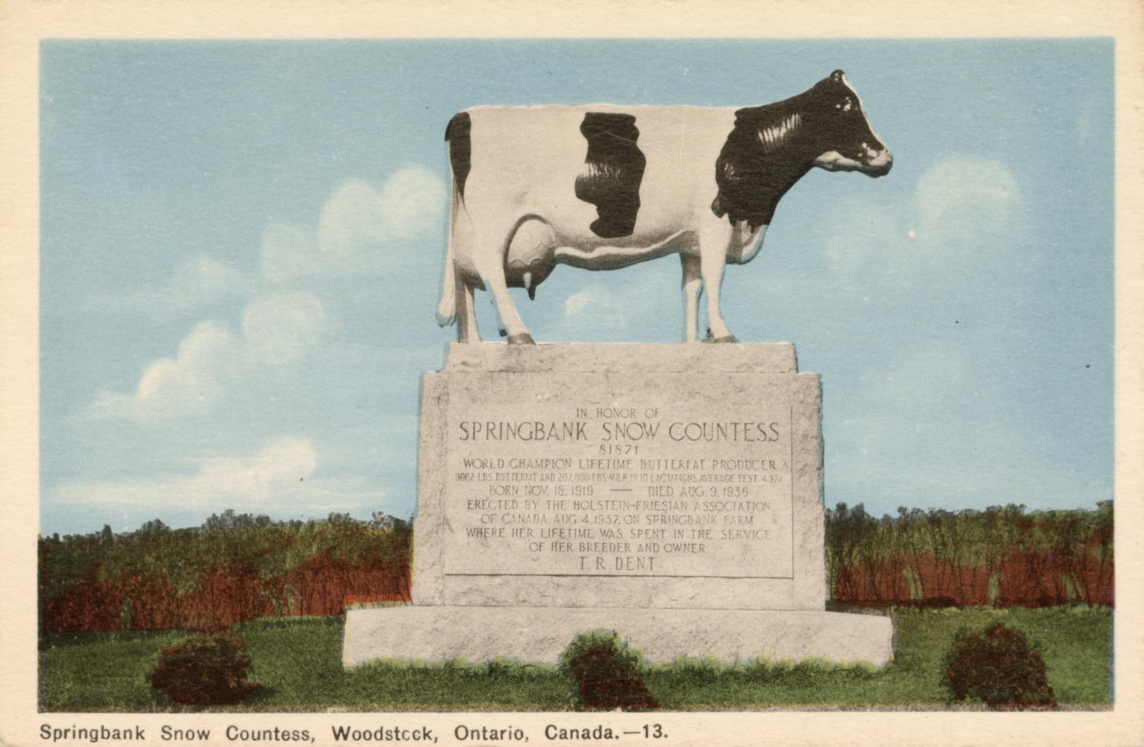 Colorized photograph of a statue of a cow standing on a stone block