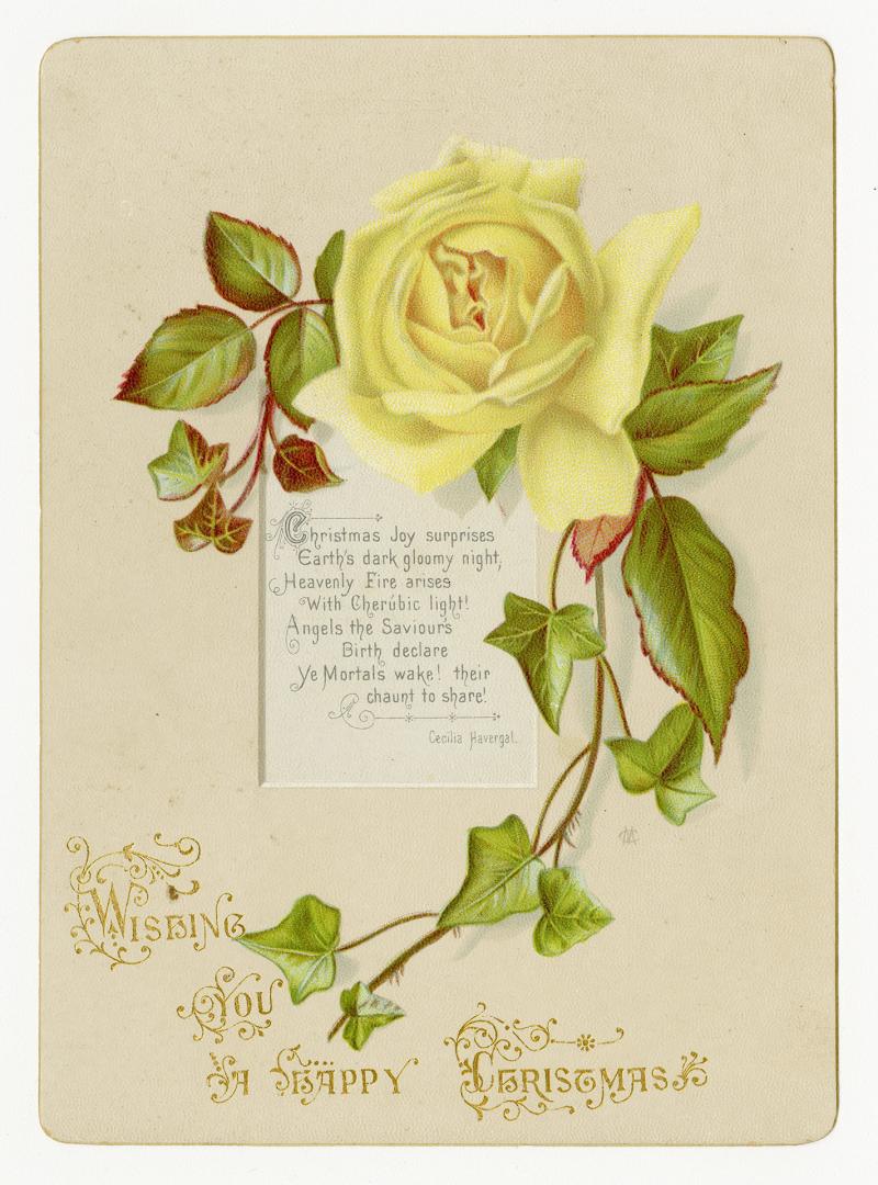 A yellow rose, its stem, and foliage are pictured alongside ivy leaves. The flower forms a part ...