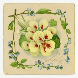 Yellow flowers with red centres are pictured in the middle of the card. They are surrounded by  ...