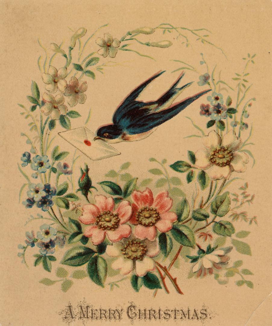 A blue-black bird is pictured flying through the air with a card in it's beak. It is surrounded…