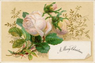 The card pictures pale pink roses along with their leaves and stems. The background is beige.