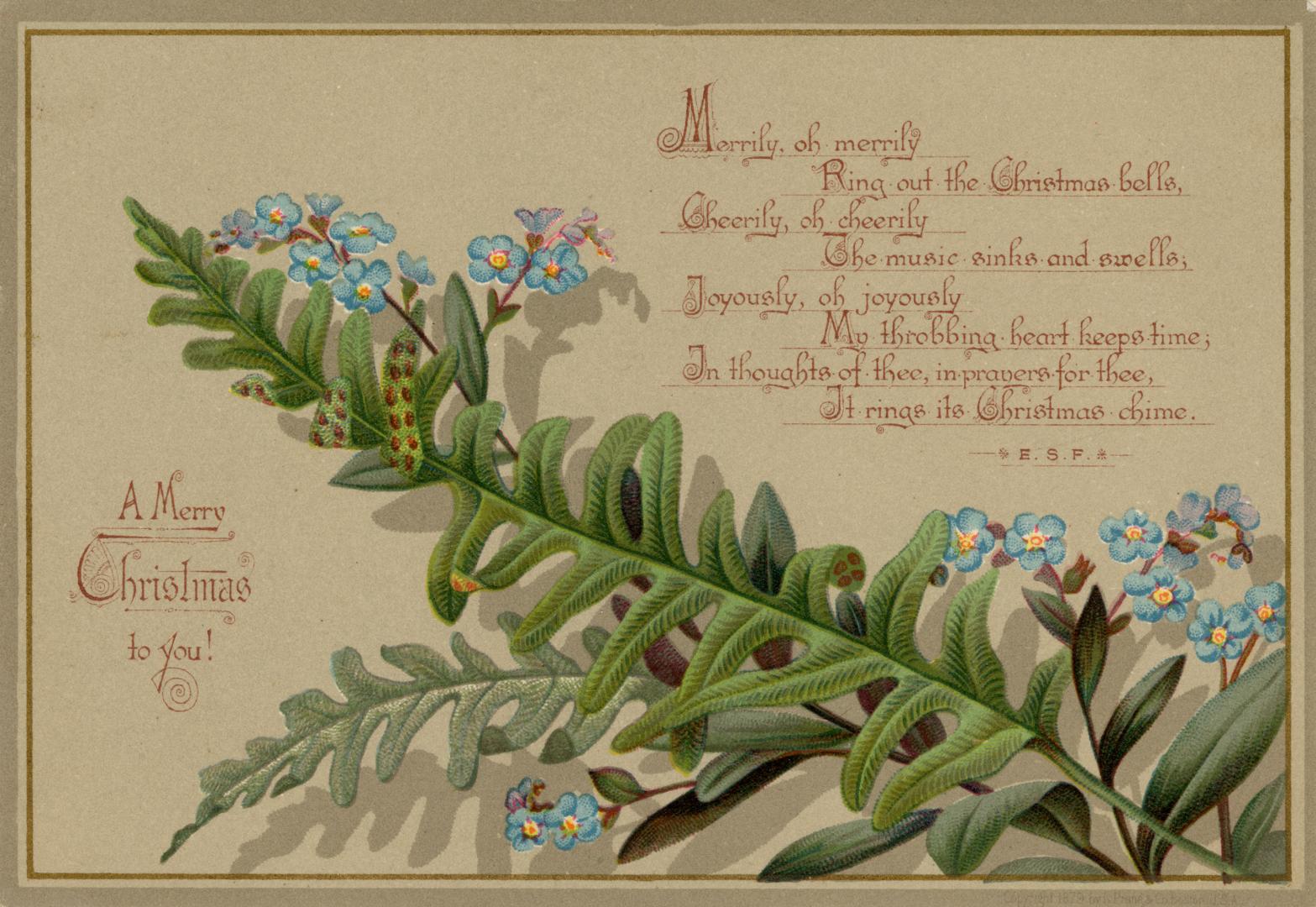 The card pictures a large fern and small blue flowers against a beige background. A rhyming ver ...