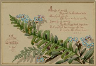 The card pictures a large fern and small blue flowers against a beige background. A rhyming ver ...