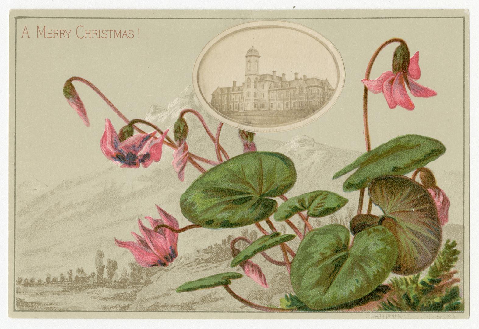 The card's main image depicts bright pink flowers with green leaves. They have been placed over…