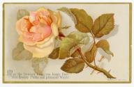 The card pictures a large pink rose, along with leaves and thorns against a beige background. A…