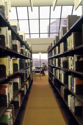 Picture of book shelves and in the distance a person sitting at a desk with large windows behin…