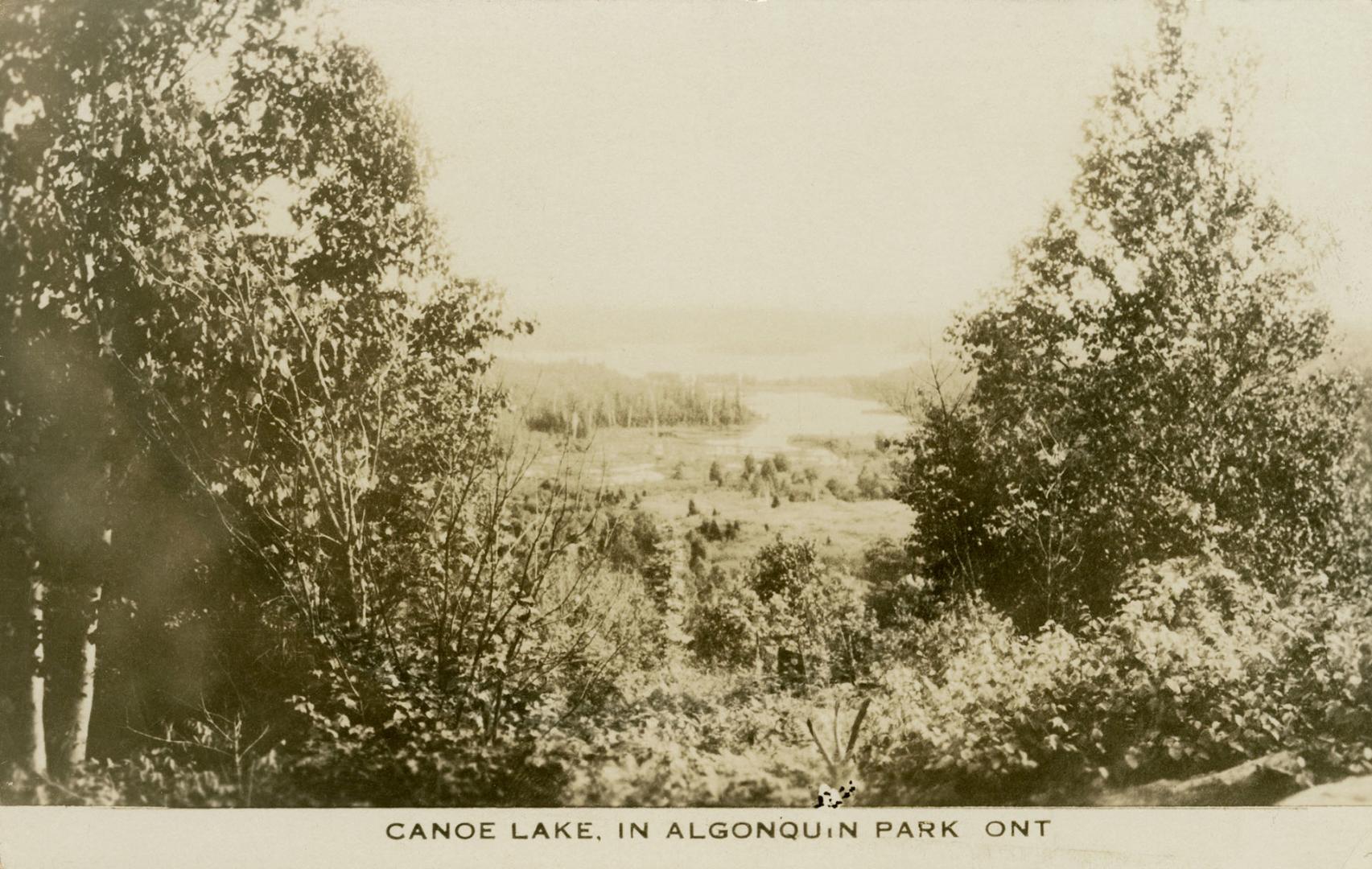 Black and white photograph of a body of water surrounded by bush.