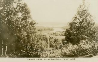 Black and white photograph of a body of water surrounded by bush.