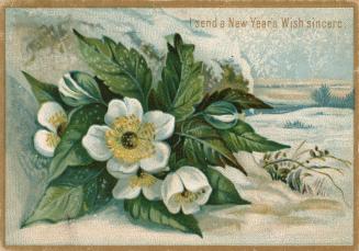 The card pictures large white flowers with green leaves in full bloom against the backdrop of a…