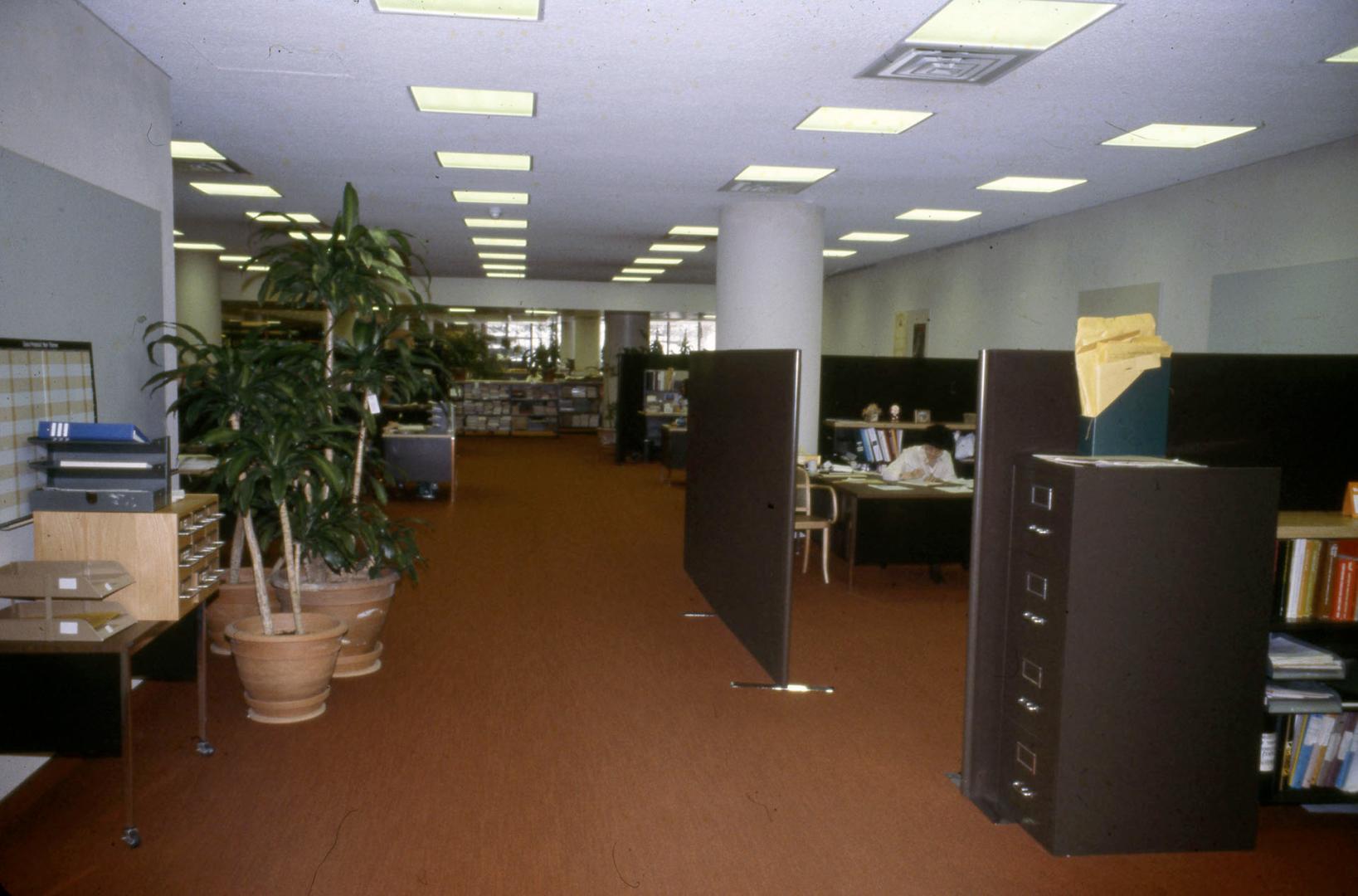 Picture of library work room with plants and dividers for office areas. 