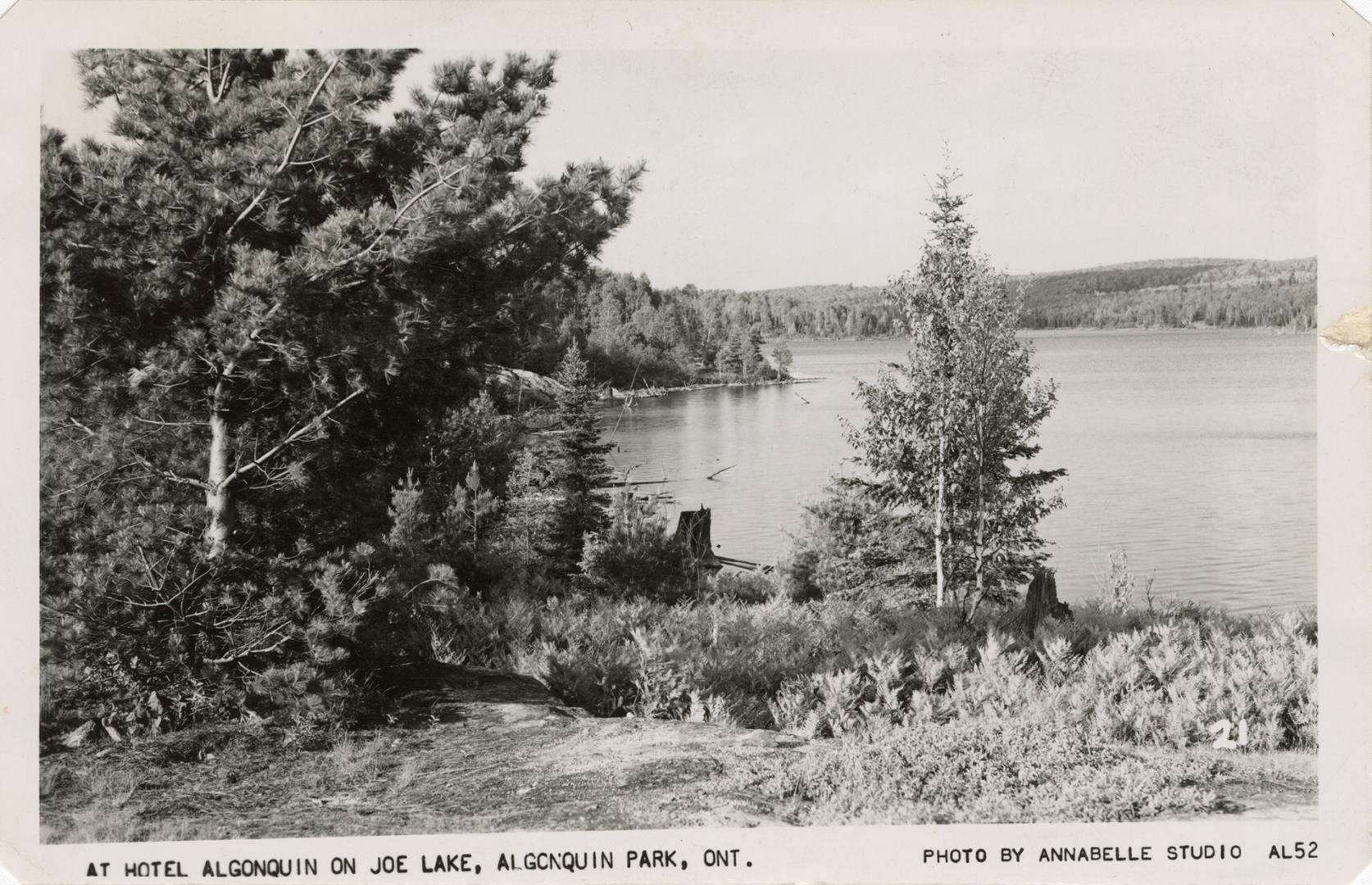 Black and white photograph of a large body of water surrounded by bush.