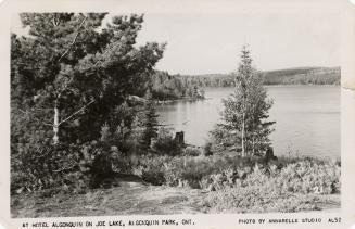 Black and white photograph of a large body of water surrounded by bush.