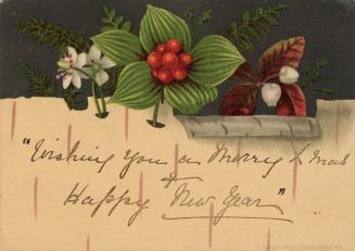 The top third of the card pictures red berries, white flowers and green and red leaves against …