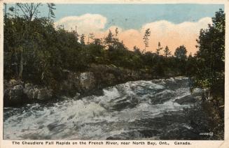 Colorized photograph of fast water running over rocks through bush.