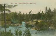 Colorized photograph of a small body of water running through bush.