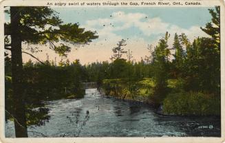 Colorized photograph of rapidly flowing water through rocks and bush.