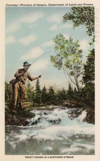 Trout fishing in a Northern stream