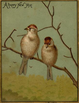 Two brown and beige birds perch on a tree branch. Blue skies, leafy trees, and a few other bird…