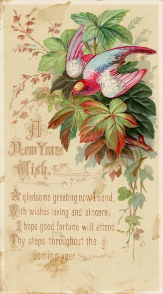 The upper right half of the card pictures a bright pink and blue bird amidst foliage. The lower…