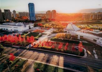 Drone photograph above Wynford Drive lined with red fall leaves on trees, looking south with th…