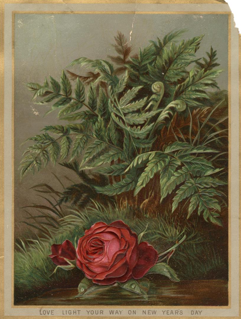 The card pictures two red rose flowers and a patch of lush foliage.