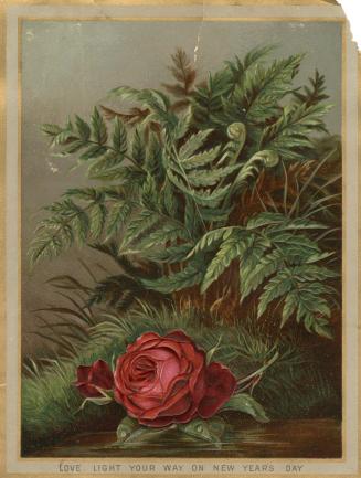 The card pictures two red rose flowers and a patch of lush foliage.